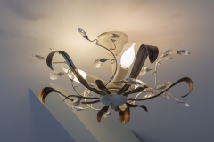 © Eric Konings Fotografie